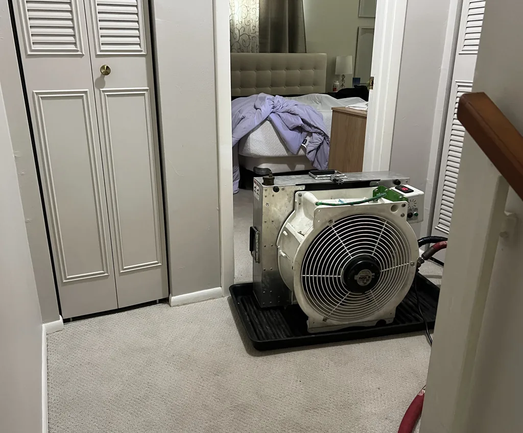 Why heat assault is our preferred **equipment for bed bug eradication?**