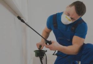 Pest control and extermination professionals in Marshall, MI