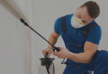 Pest control and extermination professionals in Marshall, MI