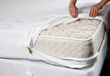 Mattress encasement for bed bugs