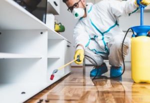 bed bug heat treatment near me