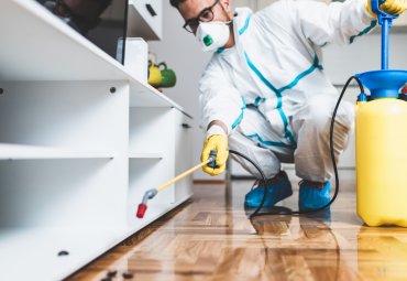bed bug heat treatment near me