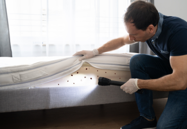 Bed Bug Prevention in Dewitt, MI