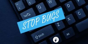 Complete guidance on Bed Bug Infestations
