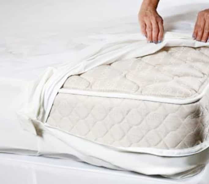 Mattress encasement for bed bugs