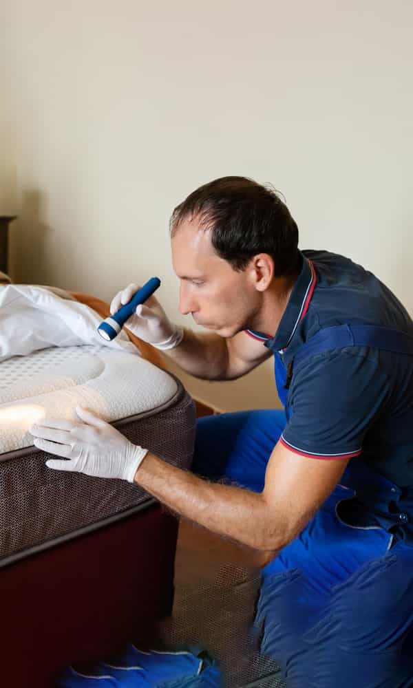 Bed Bug Extermination and Treatment