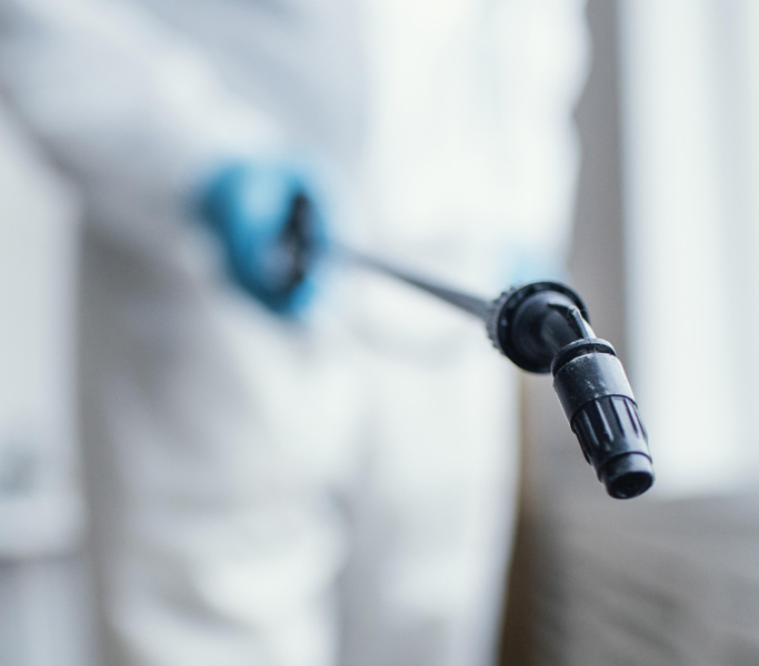Bed Bug Extermination and Treatment