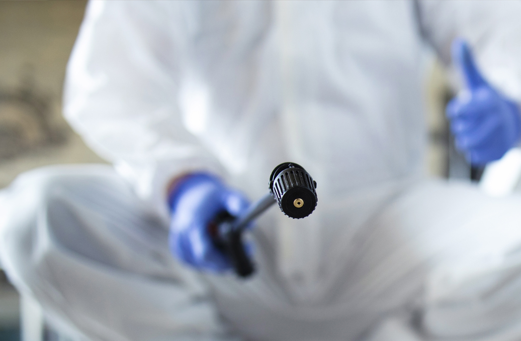 Bed Bug Extermination and Treatment