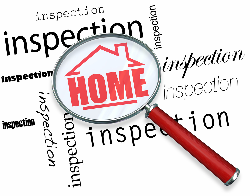 Inspection for Bed Bugs