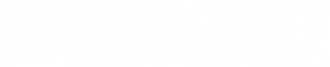 Bed Bug Specialists